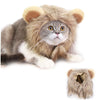 Animale domestico Costume Cosplay Leone Criniera Parrucca Cap per cane gatto