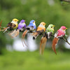 12PCS Mini giardinaggio colorato uccello artificiale set ornamento decorativo