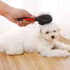 Spazzola per la pulizia del massaggio con pettine a doppia faccia con manico in plastica nera per animali domestici